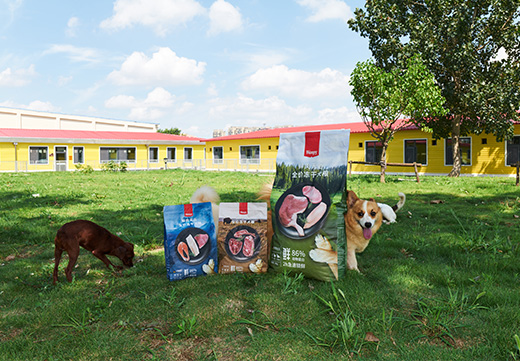 WG����(�й���)-�ٷ���վ