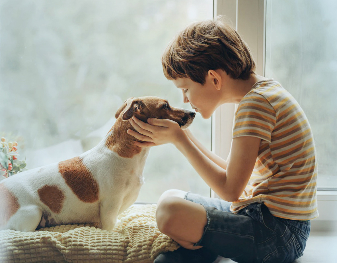 WG����(�й���)-�ٷ���վ