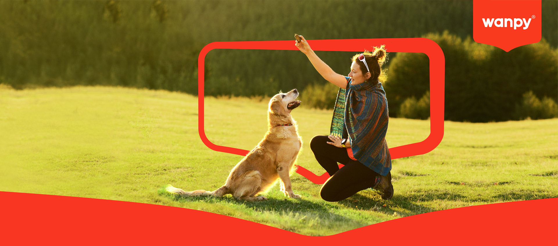 WG����(�й���)-�ٷ���վ