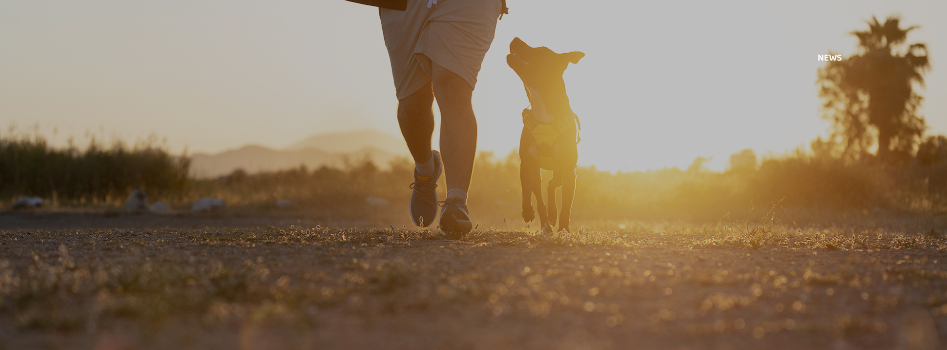 WG����(�й���)-�ٷ���վ