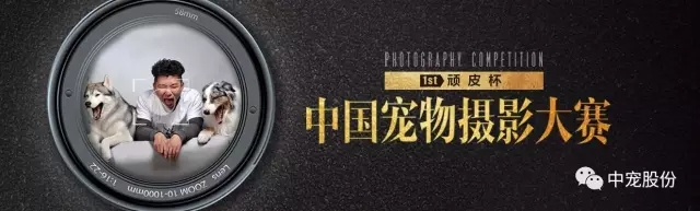 WG����(�й���)-�ٷ���վ