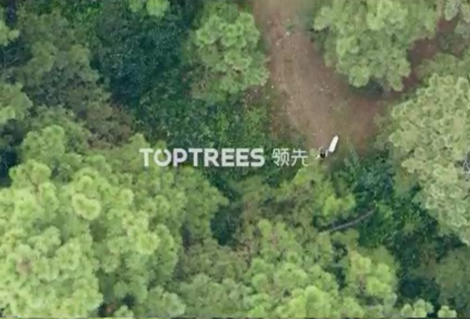 WG����(�й���)-�ٷ���վ