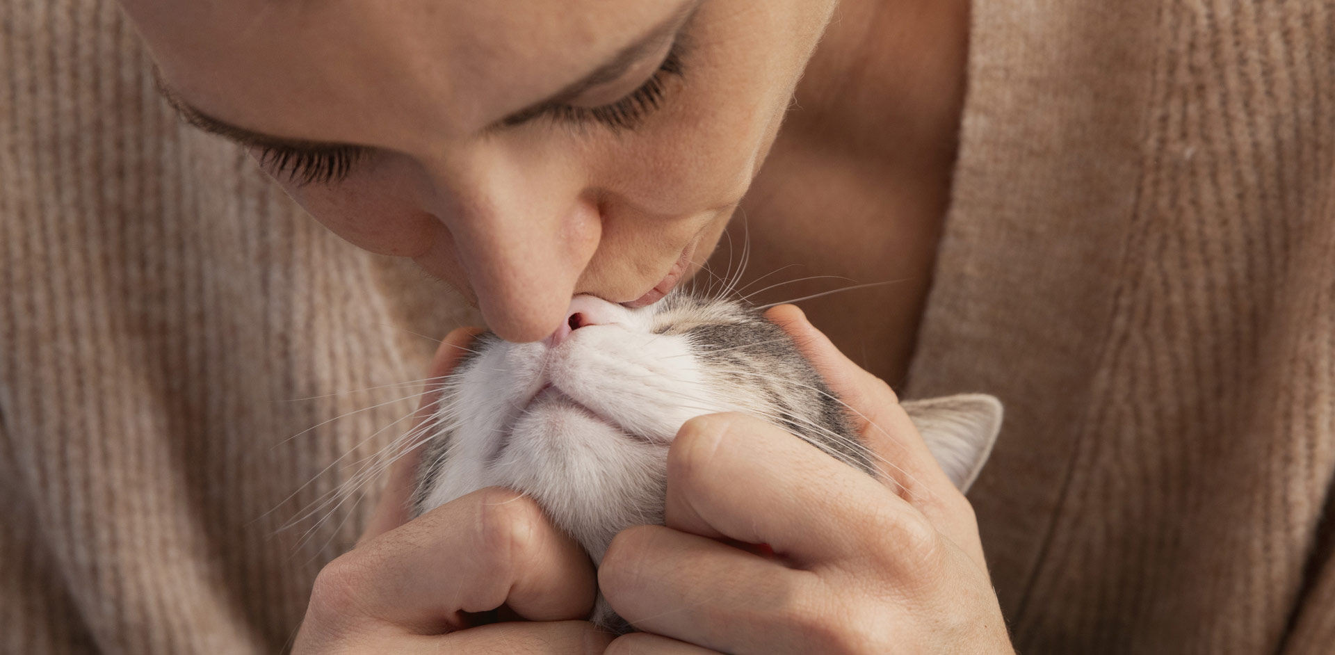 WG���ӹ���