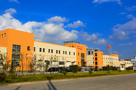 WG����(�й���)-�ٷ���վ