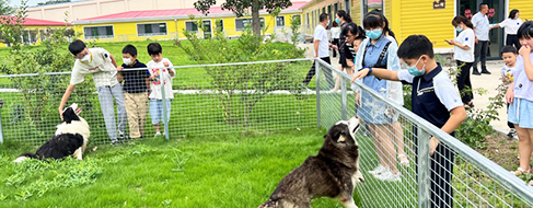 WG����(�й���)-�ٷ���վ