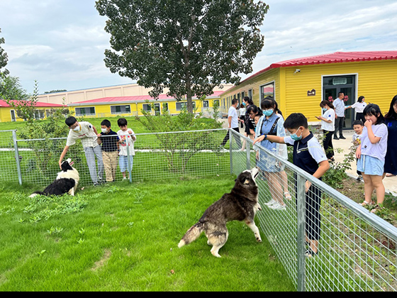 WG����(�й���)-�ٷ���վ