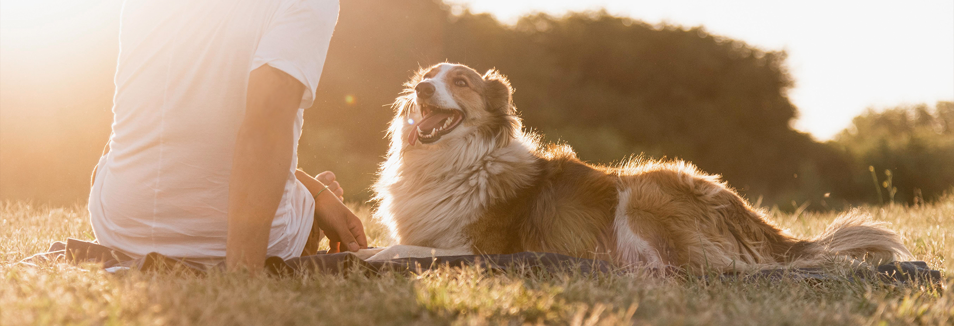 WG����(�й���)-�ٷ���վ