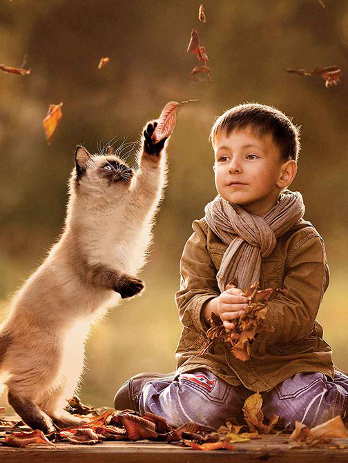 WG����(�й���)-�ٷ���վ